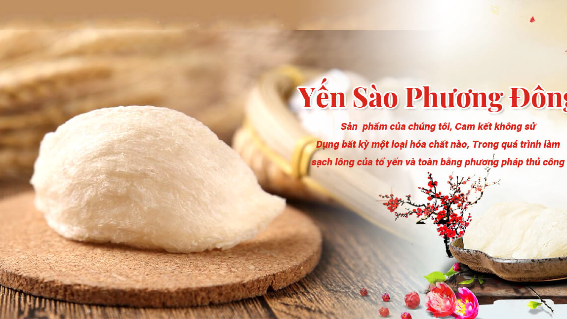 YẾN SÀO NGUYÊN CHẤT GIÀU AXIT AMIN VÀ DINH DƯỠNG THIÊN NHIÊN